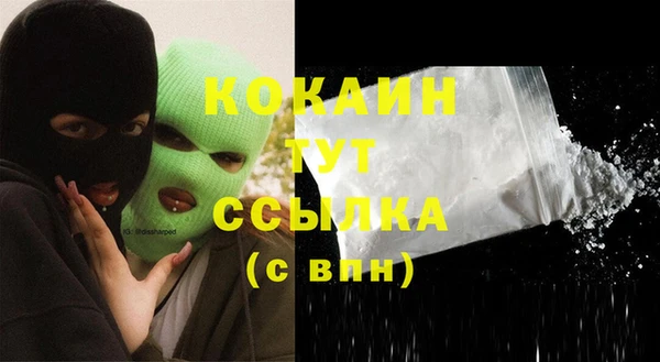 ECSTASY Ветлуга