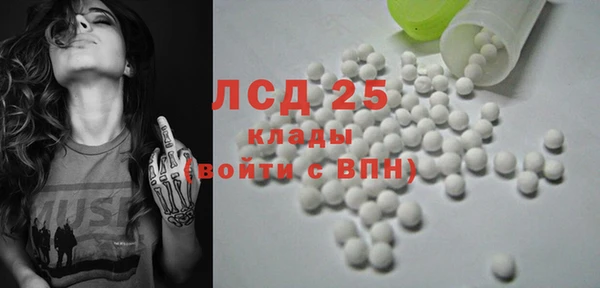 прущие грибы Волоколамск