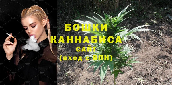 МДПВ Богородицк